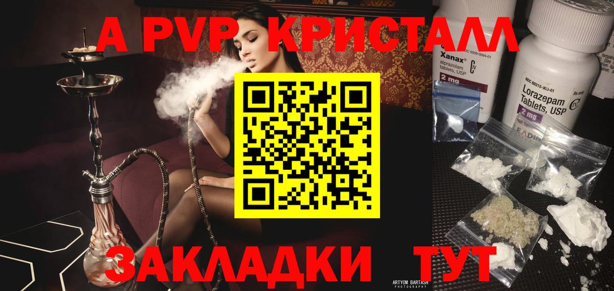 Alfa_PVP СК Кириши