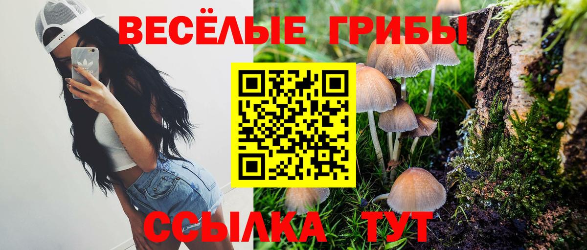 Галлюциногенные грибы GOLDEN TEACHER Кириши