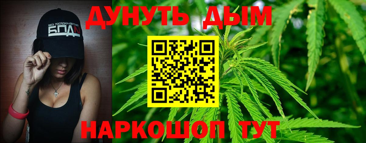 Каннабис гибрид  Каннабис семена  Вход с VPN  Кириши  Бошки Шишки Bruce Banner 